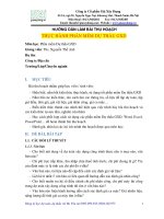 Hướng dẫn lập giá dự thầu phần đường giao thông nông thôn