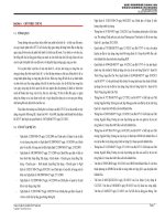 Thuyết minh biện pháp thi công cầu