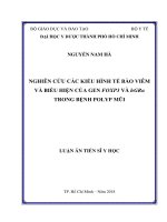 Nghiên cứu các kiểu hình tế bào viêm và biểu hiện của gen FOXP3 và hGRα trong bệnh polyp mũi (Luận án tiến sĩ)