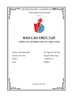 BÁO cáo thực tập công ty cổ phản Net it Việt Nam