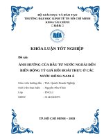 Ảnh hưởng của đầu tư nước ngoài đến biến động tỷ giá hối đoái thực ở các nước Đông Nam Á