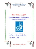 Tiểu luận quyền và nghĩa vụ của chủ rừng