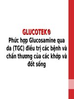 GLUCOTEK® Phức hợp Glucosamine qua da (TGC) điều trị các bệnh và chấn thương của các khớp và đốt sống