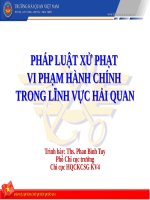 BÀI GIẢNG PHÁP LUẬT XỬ PHẠT VI PHẠM HÀNH CHÍNH TRONG LĨNH VỰC HẢI QUAN