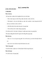 Giáo án sinh học lớp 6   quang hợp