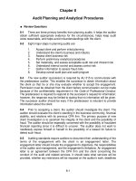 Solution manual auditing and assurance services 13e by arens  08 chapter