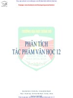 PHÂN TÍCH TÁC PHẨM VĂN HỌC