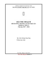 Đề cương viết thu hoạch BDTX NH 17 18