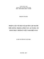 Pháp luật về bảo vệ quyền lợi người tiêu dùng trong lĩnh vực an toàn, vệ sinh thực phẩm ở việt nam hiện nay 