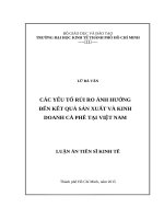 Các yếu tố rủi ro ảnh hưởng đến kết quả sản xuất và kinh doanh và phê tại việt nam 