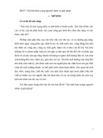 Nạn tảo hôn thực trang, nguyên nhân và giải pháp