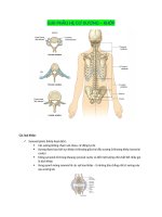 Giải phẫu hệ cơ xương khớp