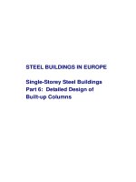 steel buildings in europe single - storey steel building p06 Detailed design of built up columns