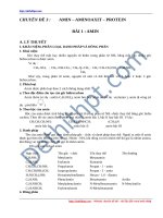 Lý thuyết + bài tập   amin – amino axit – protein   file word 