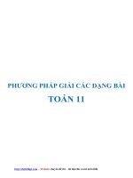 Phương pháp giải các dạng bài toán 11 học kỳ 2   nguyễn tiến đạt   file word 