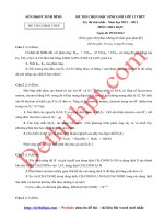 Đề thi HSG môn hóa học lớp 12   lần 1   sở GD đt ninh bình   năm học 2012 2013   file word có lời giải chi tiết 