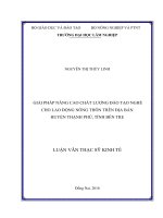 Giải pháp nâng cao chất lượng đào tạo nghề cho lao động nông thôn trên địa bàn huyện thạnh phú, tỉnh bến tre 