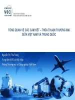 TỔNG QUAN VỀ CÁC CAM KẾT – THỎA THUẬN THƯƠNG MẠI GIỮA VIỆT NAM VÀ TRUNG QUỐC