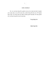 Giải pháp phát triển cơ giới hóa trong sản xuất lúa ở huyện long thành tỉnh đồng nai 