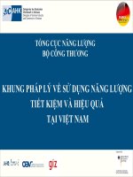KHUNG PHÁP LÝ VỀ SỬ DỤNG NĂNG LƯỢNG TIẾT KIỆM VÀ HIỆU QUẢ TẠI VIỆT NAM