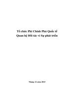 Tổ chức Phi Chính Phủ Quốc tế Quan hệ Đối tác vì Sự phát triển