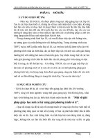 Sang kien  phuong trinh vo ti 