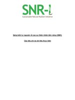 Sáng kiến tự nguyện về cao su thiên nhiên bền vững (SNR): Các tiêu chí và chỉ tiêu thực hiện