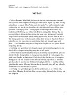 Bài tiểu luận lễ hội đua ghe ở Lăng Cô, Huế