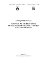 Kết Quả Khảo Sát “An Toàn - Vệ Sinh Lao Động Trong Doanh Nghiệp Vừa Và Nhỏ”