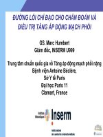 ĐƯỜNG LỐI CHỈ ĐẠO CHO CHẨN ĐOÁN VÀ ĐiỀU TRỊ TĂNG ÁP ĐỘNG MẠCH PHỔI