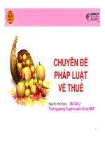 CHUYÊN ĐỀ PHÁP LUẬT VỀ THUẾ