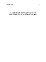 LUẬT QUỐC TẾ VỀ QUYỀN CỦA CÁC NHÓM NGƯỜI DỄ BỊ TỔN THƯƠNG