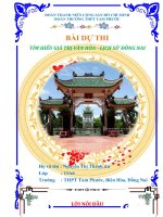 BÀI DỰ THI TÌM HIỂU GIÁ TRỊ VĂN HÓA - LỊCH SỬ ĐỒNG NAI