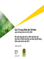 Đề xuất cung cấp dịch vụ kiểm toán báo cáo tài chính và Kiểm toán Báo cáo đánh giá Hệ thống Kiểm soát nội bộ