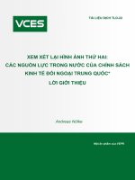 XEM XÉT LẠI HÌNH ẢNH THỨ HAI: CÁC NGUỒN LỰC TRONG NƯỚC CỦA CHÍNH SÁCH KINH TẾ ĐỐI NGOẠI TRUNG QUỐC