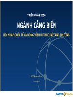 TRIỂN VỌNG 2016 NGÀNH CẢNG BIỂN HỘI NHẬP QUỐC TẾ VÀ DÒNG VỐN FDI THÚC ĐẨY TĂNG TRƯỞNG
