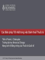 Các Biện pháp Tốt nhất trong việc Đánh thuế Thuốc lá - Tiến sĩ Frank J. Chaloupka Trường đại học Illinois tại Chicago