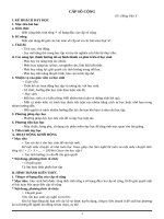 CHU DE  DAY SO   CAP SO cộng y 