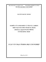 Nghiên cứu sinh khối và tích tụ carbon trên mặt đất đối với rừng tràm (melaleuca cajuputi powell) trồng ở tỉnh đồng tháp 