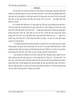 TIỂU LUẬN THỰC tập NGHỀ NGHIỆP