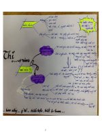 Tai lieu on thi Ngu van 12