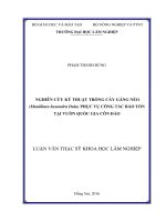 Nghiên cứu kỹ thuật trồng cây găng néo (manilkara hexandra dula) phục vụ công tác bảo tồn tại vườn quốc gia côn đảo 