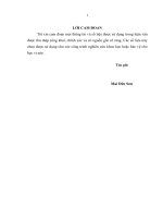 Giải pháp huy động các nguồn lực tài chính cho thực hiện chương trình xây dựng nông thôn mới trên địa bàn huyện đam rông, tỉnh lâm đồng 