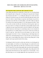   phân tích chiến lược marketing đối với thị trường kiểm toán – dịch vụ và tư vấn 