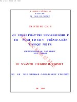 Giải pháp phát triển doanh nghiệp thương mại dịch vụ trên địa bàn tỉnh quảng trị 