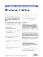 Orientation training planning