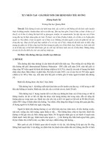 TỤY NHÂN tạo   GIẢI PHÁP mới CHO BỆNH NHÂN TIỂU ĐƯỜNG 