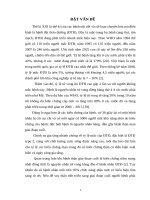 Khảo sát sự biến đổi mức lọc cầu thận và một số yếu tố liên quan ở bệnh nhân đái tháo đường type 2 điều trị tại bệnh viện đa khoa tỉnh đắk lắk 