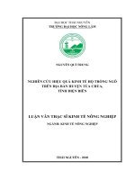 Nghiên cứu hiệu quả kinh tế hộ trồng ngô trên địa bàn huyện Tủa Chùa, tỉnh Điện Biên (Luận văn thạc sĩ)