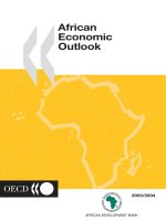 OECD african economic outlook 